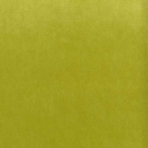 Classic Velvet 14 Lime