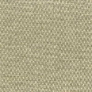 Montia 2 Beige