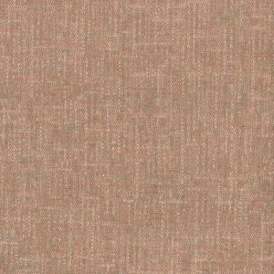 Science Mores 2 Salmon