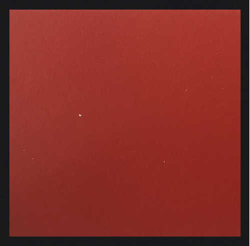 Q238 Red black stitching