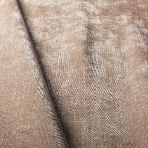 Wildflower 2 Cold Beige